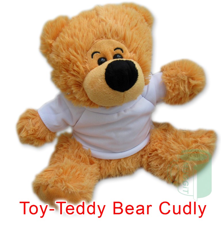 Toy-Teddy Bear Cuddly
