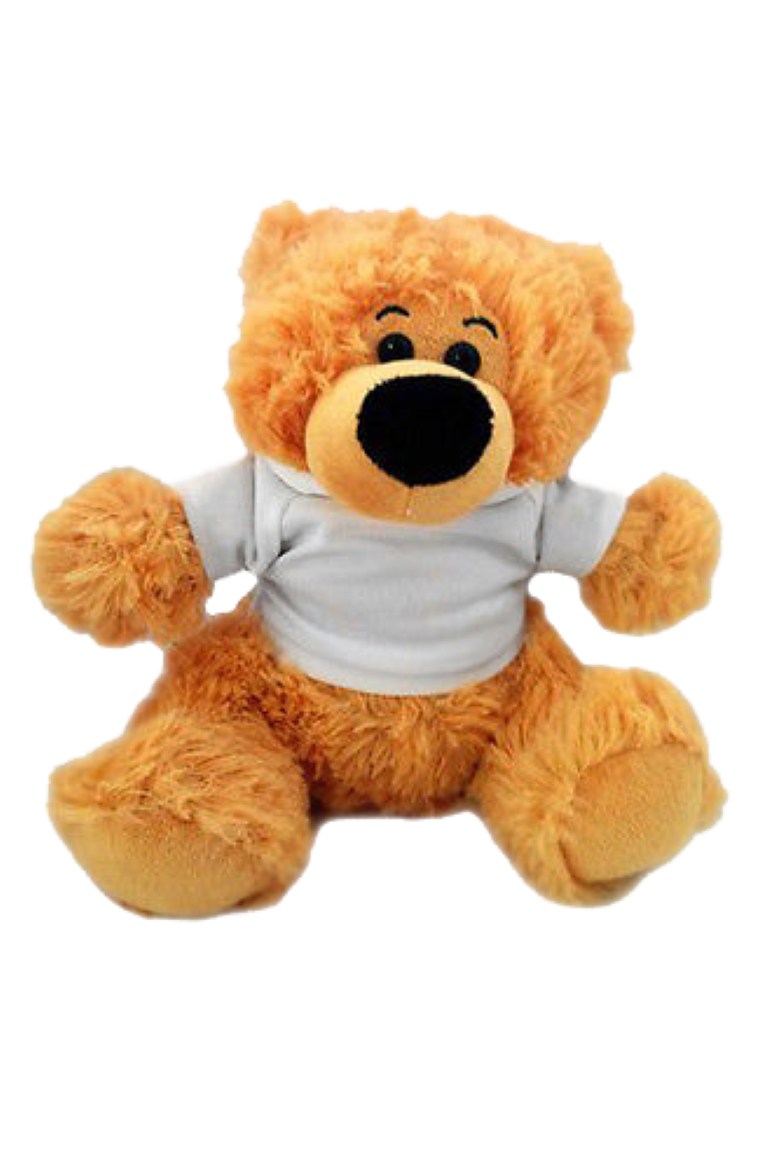 Toy-Teddy Bear Cuddly